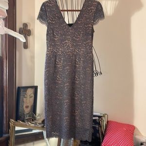H & M Smokey Gray Lace Mini Dress Sz 6